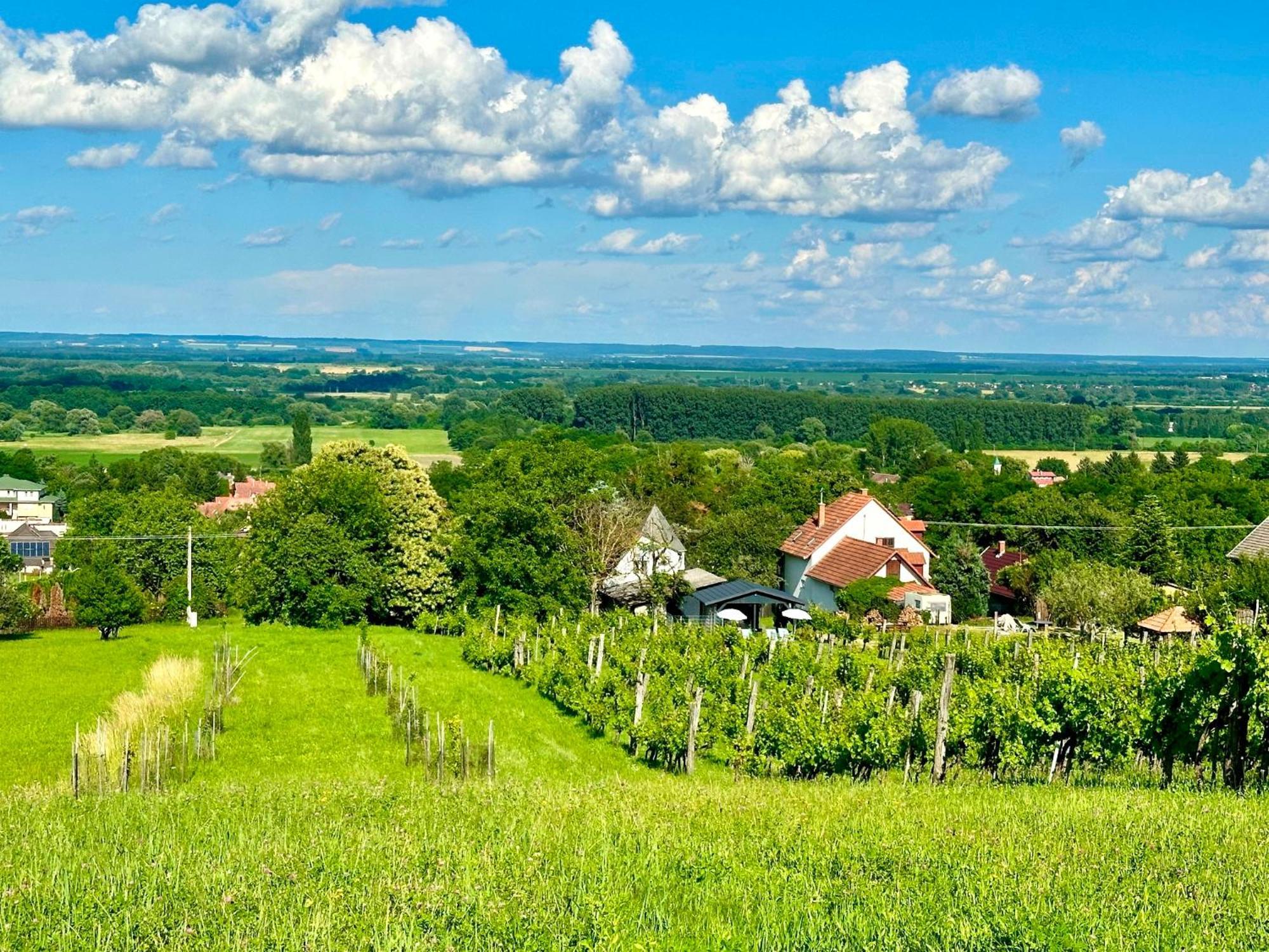 Szent Orban Panzio - Kutyabarat Apartmanok Zalakaros Extérieur photo