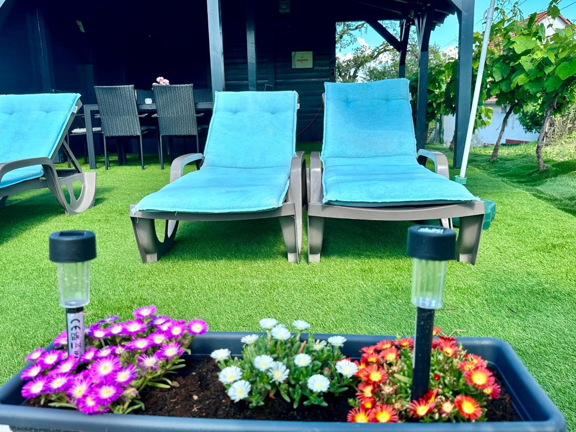 Szent Orban Panzio - Kutyabarat Apartmanok Zalakaros Extérieur photo